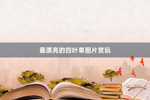 最漂亮的四叶草图片赏玩