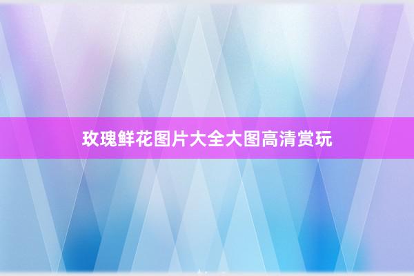玫瑰鲜花图片大全大图高清赏玩
