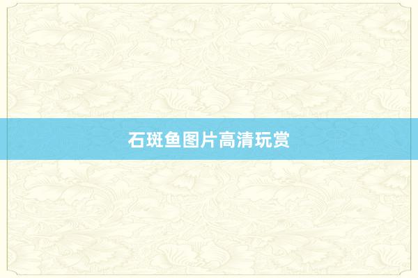 石斑鱼图片高清玩赏